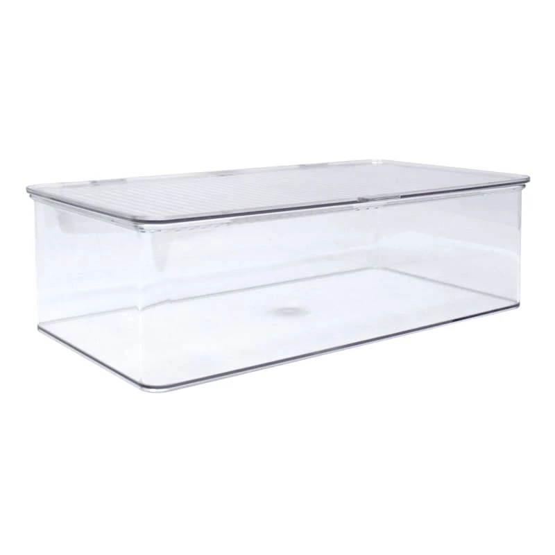 Clear Hinged Storage Organizer, Medium 1 Clear Hinged Storage Organizer, Medium