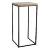 Fiona Wood Top Plant Stand With Metal Base, Large