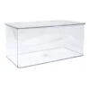 Hinged Clear Storage Bin Set, Large